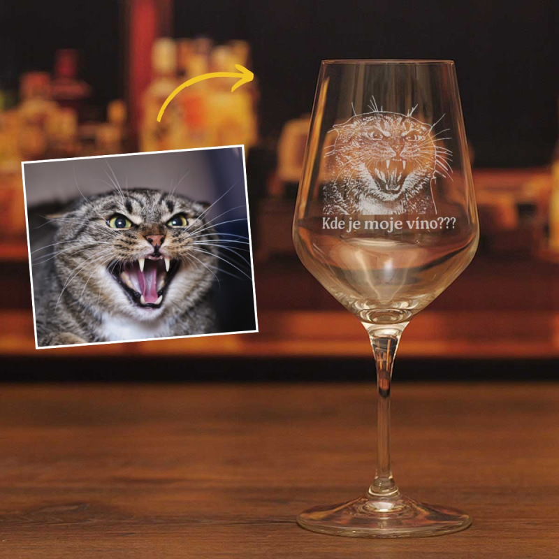 Dárek pro kočkomilku - Sklenice na víno s fotkou